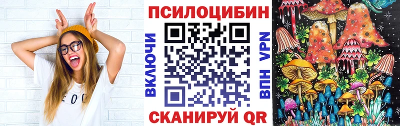 Купить где  Йошкар-Ола  Галлюциногенные грибы Psilocybe 